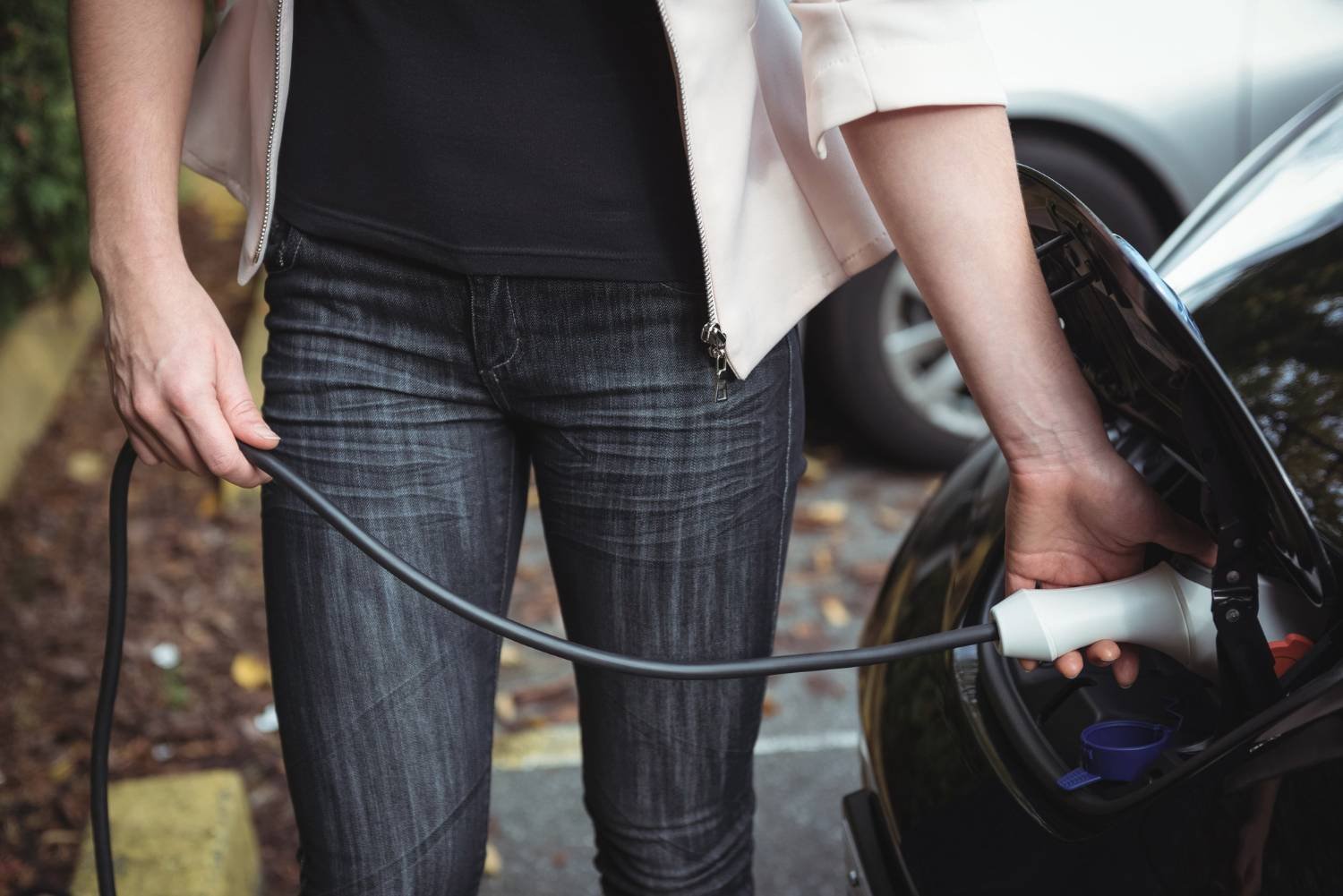Electric Hook-Up & Trickle Charging